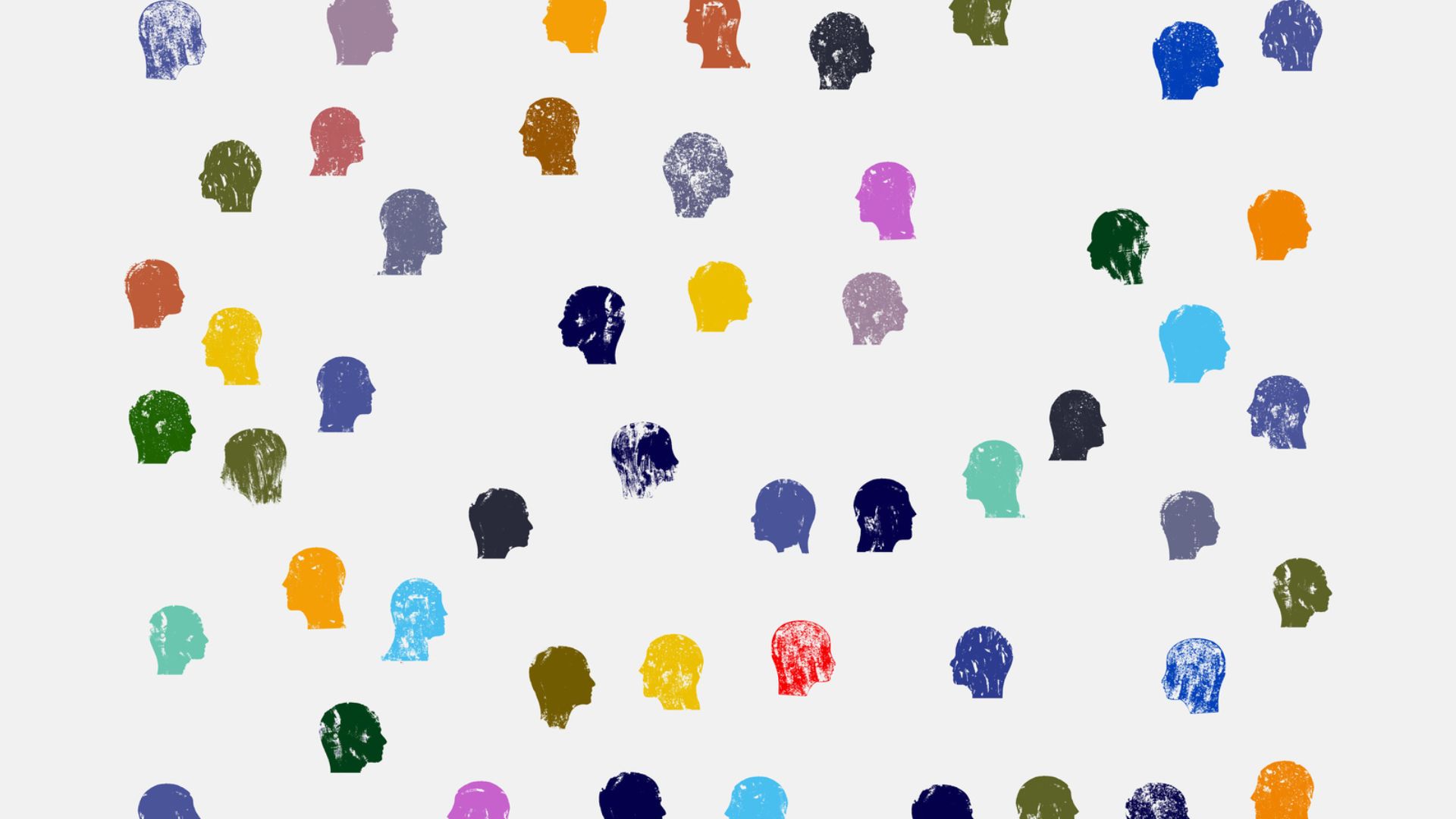 Audience Insights